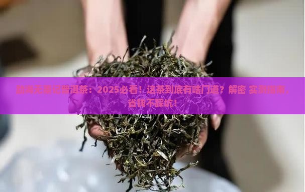 勐海无墨记普洱茶