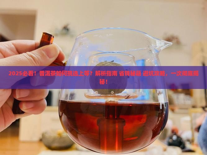 普洱茶如何挑选上等的