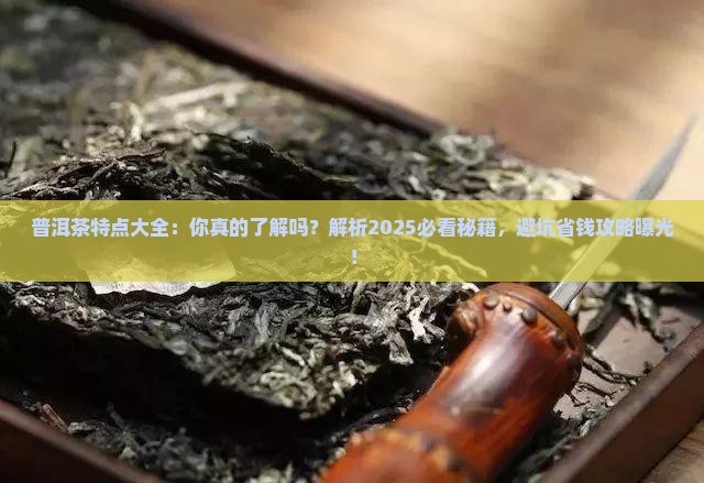 普洱茶特点大全