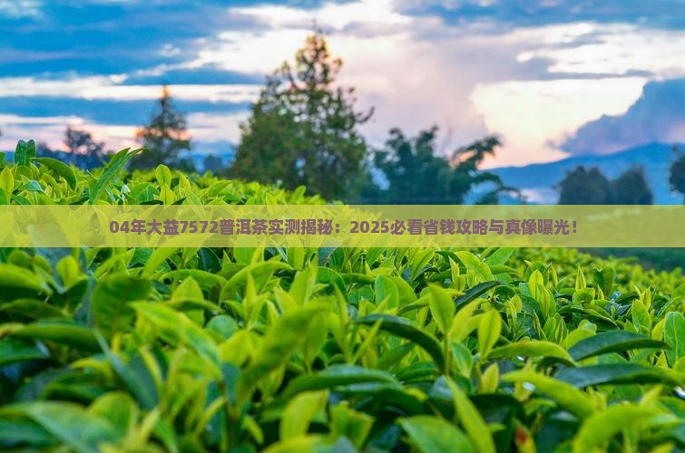 04年大益7572普洱茶