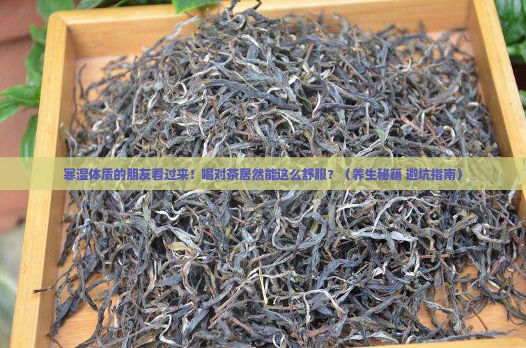 寒湿体质适合喝什么茶