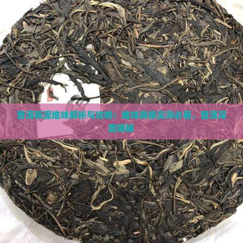 普洱茶饼渥堆味是啥味