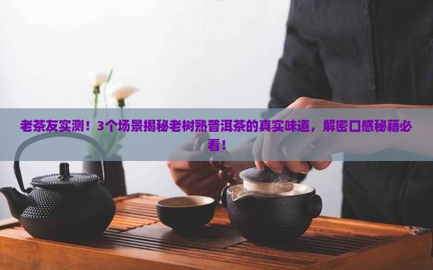 老树熟普洱茶的味道