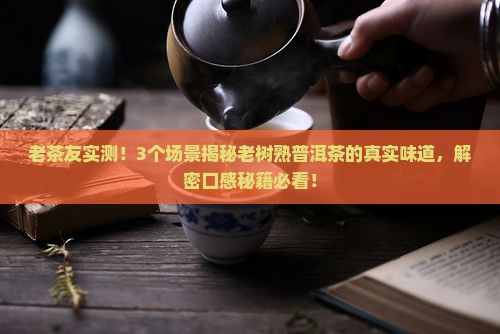 老树熟普洱茶的味道