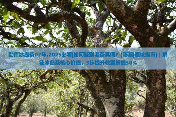 勐库冰岛茶07年