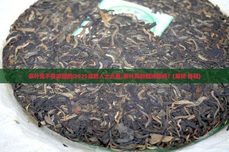 茶叶是不是减脂的