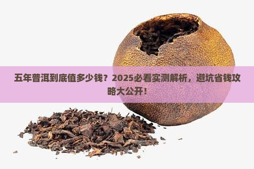 五年普洱值多少钱