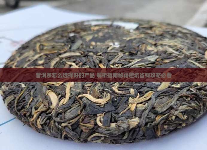 普洱茶怎么选择好的产品
