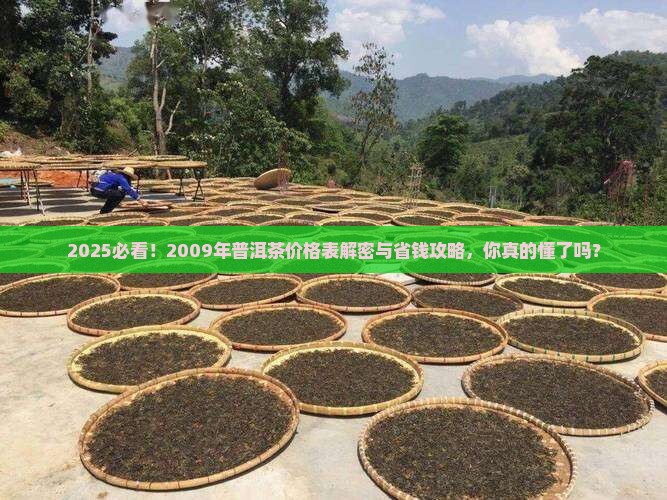 2009年普洱茶的价格表