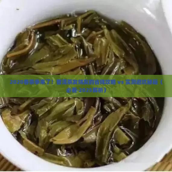 普洱茶2020春茶