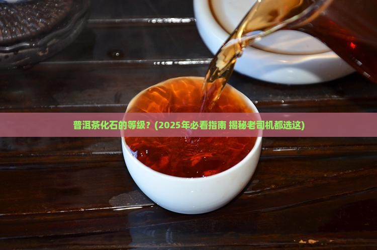 普洱茶化石的等级