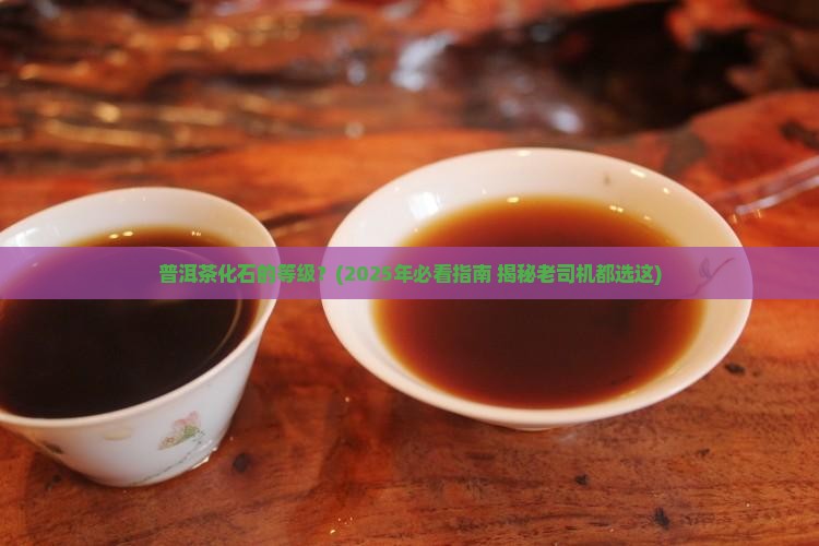 普洱茶化石的等级