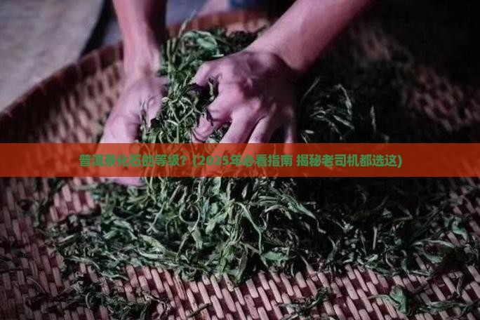 普洱茶化石的等级