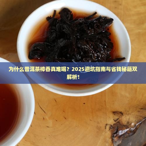普洱茶樟香真难喝