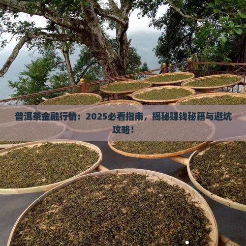 普洱茶金融行情