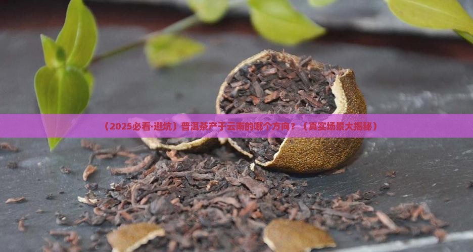普洱茶产于云南的那个方向