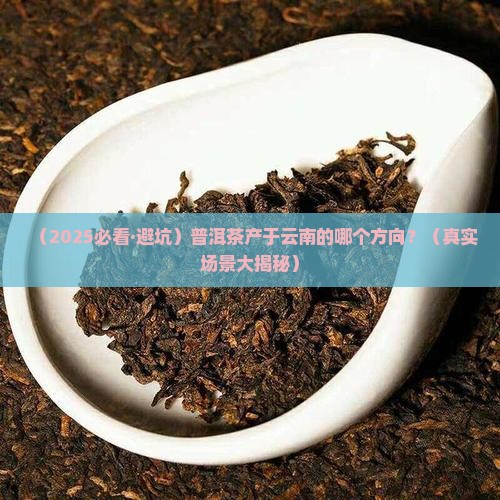 普洱茶产于云南的那个方向