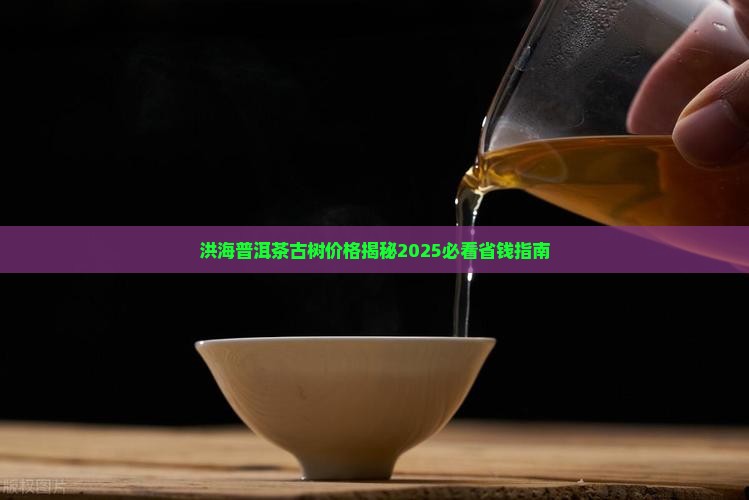 洪海隽霖号普洱茶贡品