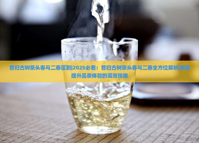昔归古树茶头春与二春区别