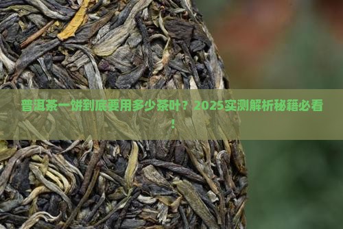 普洱茶一饼要用多少茶叶