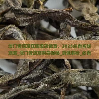 澳门普洱茶在哪里买便宜