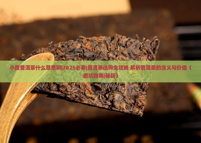 小度普洱茶什么意思啊