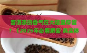 普洱茶的香气在大脑里停留