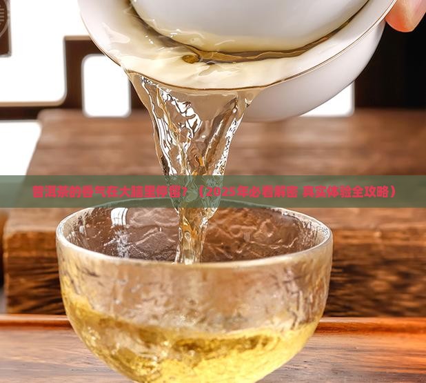 普洱茶的香气在大脑里停留