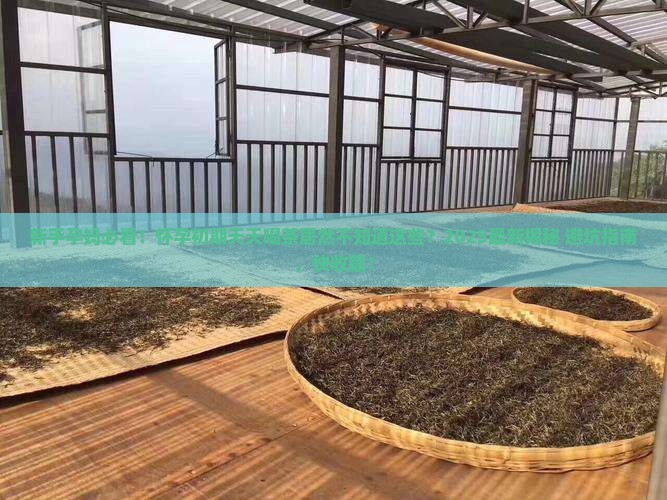 怀孕初期不知道天天喝茶 怀孕初期不知道天天喝茶