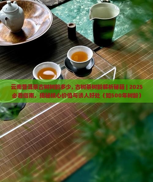 云南普洱茶古树树龄多少