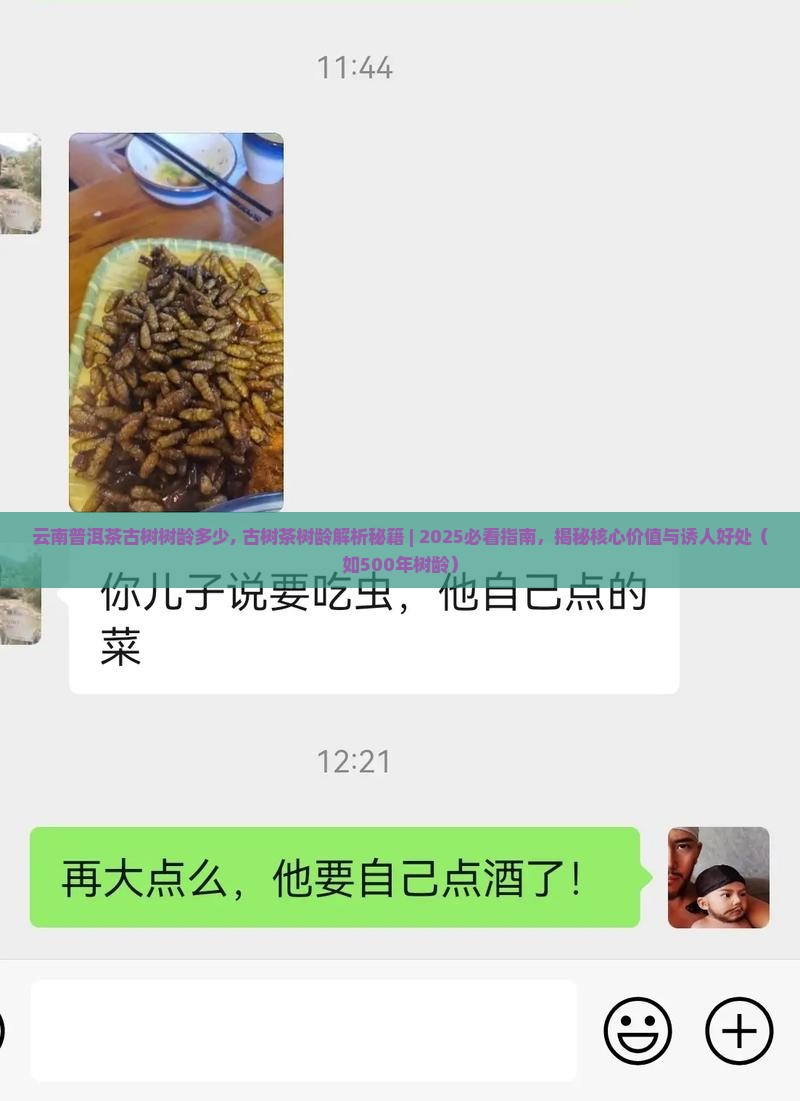 云南普洱茶古树树龄多少