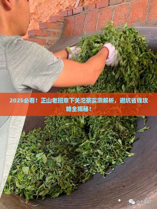 正山老班章下关沱茶