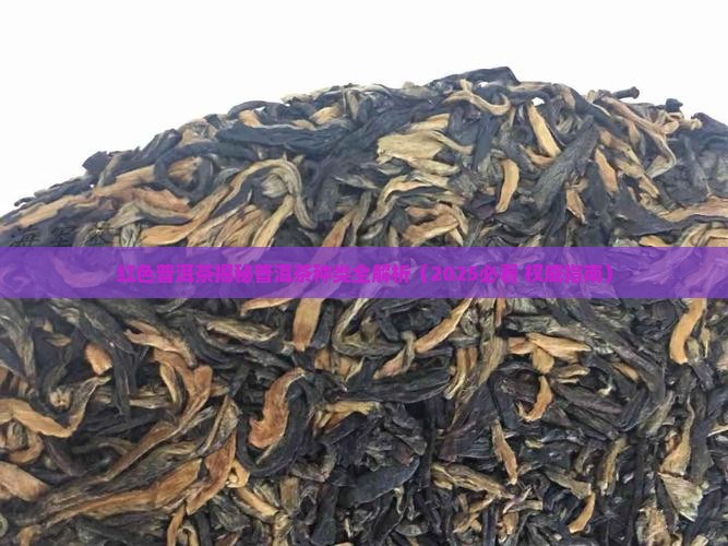 红色普洱茶是啥茶种类的茶