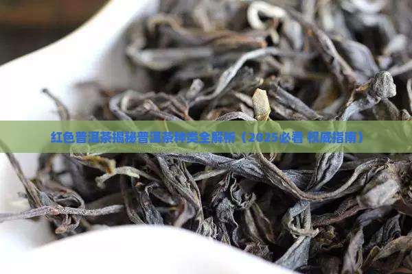 红色普洱茶是啥茶种类的茶