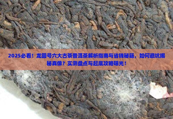 龙圆号六大古茶普洱茶