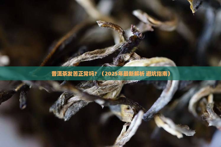 普洱茶发苦正常吗