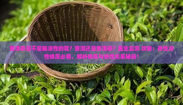普洱茶是不是偏凉性的呢