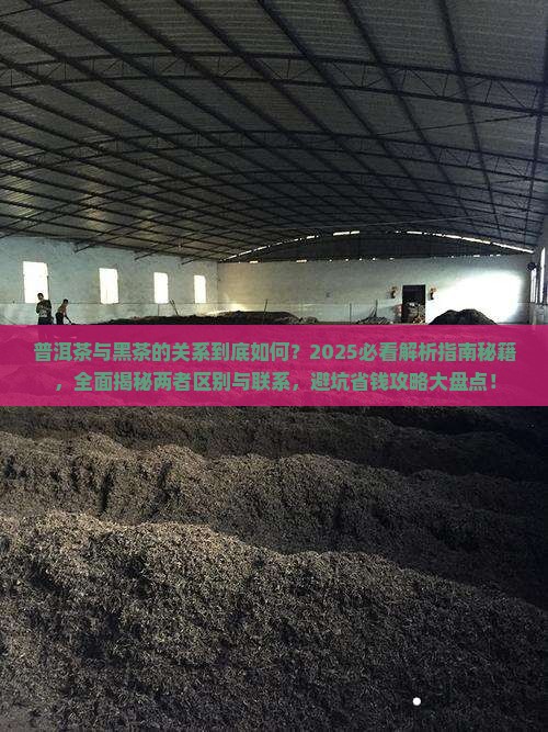 普洱茶跟黑茶的关系