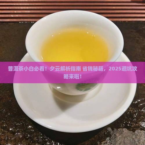 普洱茶小白夕云