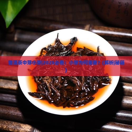 普洱茶中芽小芽