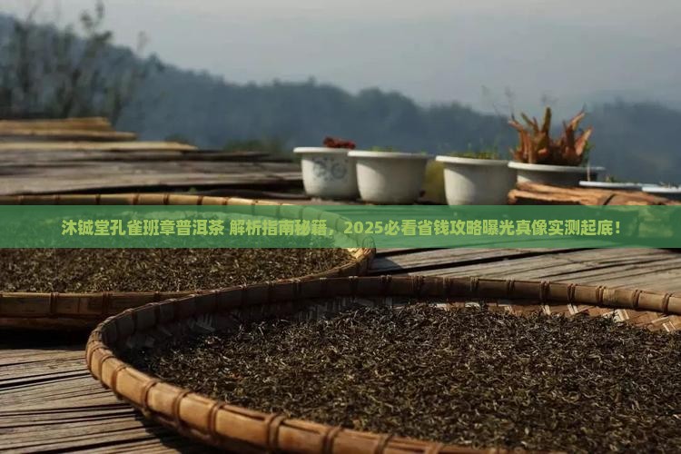 沐铖堂孔雀班章普洱茶