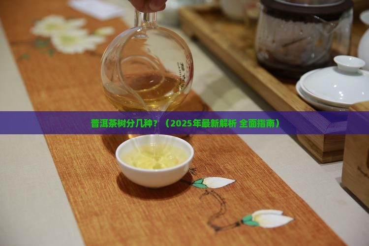 普洱茶的树分几种