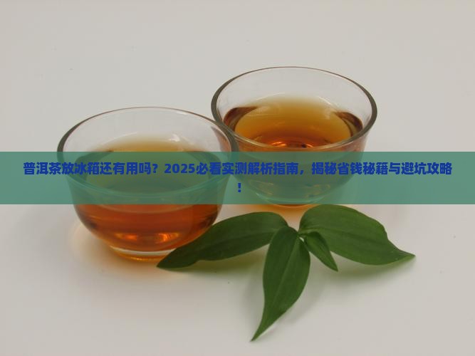 普洱茶放冰箱还有用吗吗