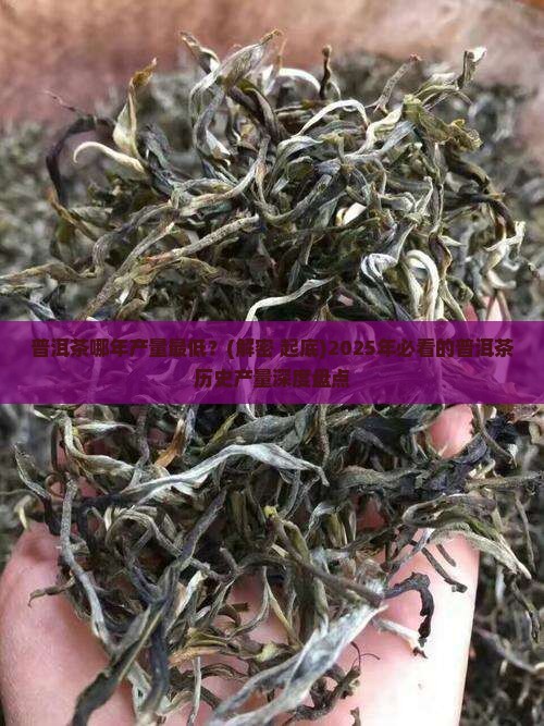 普洱茶哪年产量最低