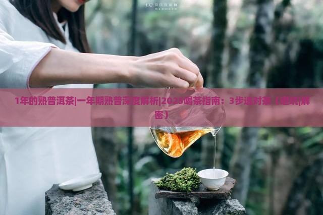 1年的熟普洱茶