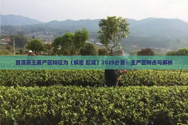 普洱茶主要产区特征为