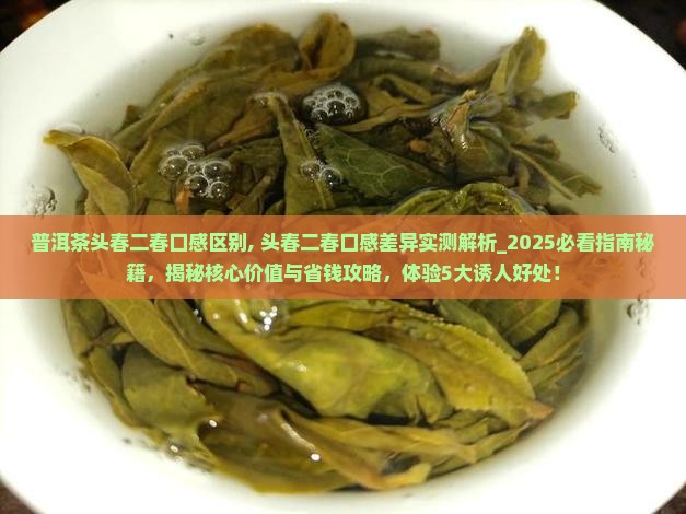普洱茶头春二春口感区别 普洱茶头春二春口感区别