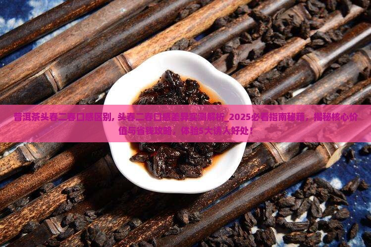 普洱茶头春二春口感区别 普洱茶头春二春口感区别