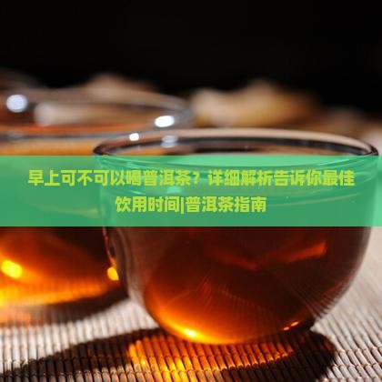 早上可不可以喝普洱茶