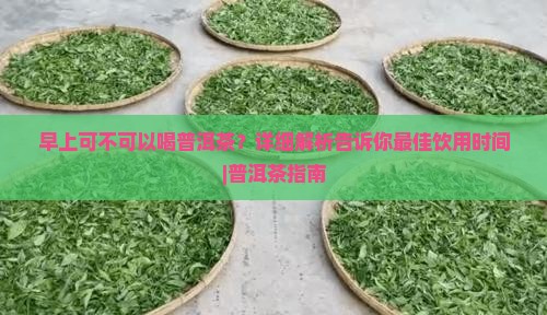 早上可不可以喝普洱茶